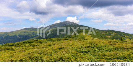 green mountain landscape. petros peak, popular travel destination of ukraine. warm summer forenoon green mountain landscape. petros peak, popular travel destination of ukraine. warm summer forenoon 106540984