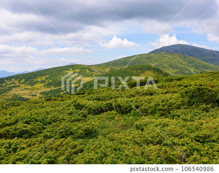 mountainous landscape of ukraine. mountains of chornohora ridge. warm summer forenoon 106540986