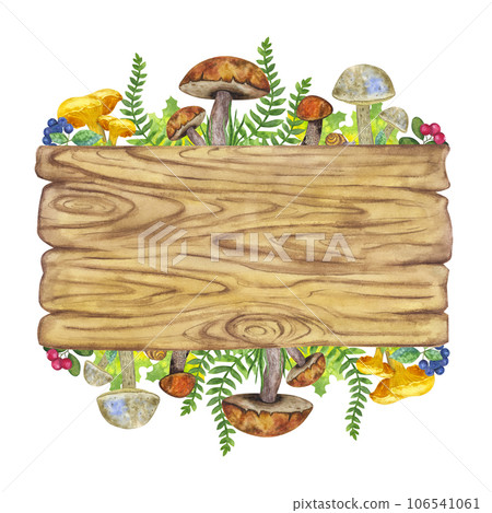 Wooden signboard. Edible mushrooms leaves berries. Botanical frame for text. Hand draw watercolor illustration isolated on white background. Design element 106541061