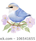 Watercolor illustration of Swallow Bird 106541655