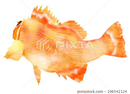 Illustration of a rockfish from behind Illustration of a rockfish from behind 106542124