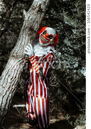 mad evil clown clinging to the trunk of a tree mad evil clown clinging to the trunk of a tree 106542429