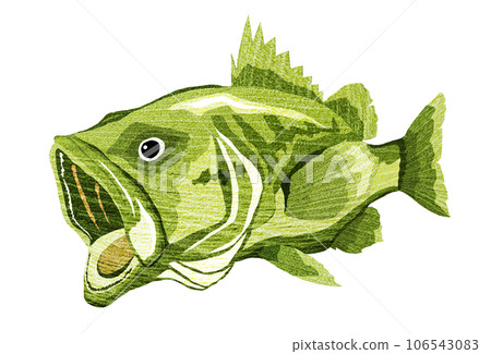 Illustration of a voracious black bass 106543083