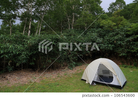 我在森林裡搭了個帳篷 106543600