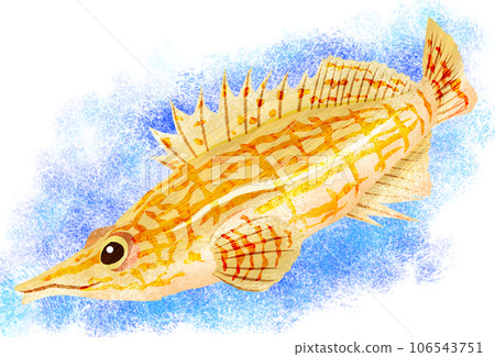 水下彩色魚圖 水下彩色魚圖 106543751