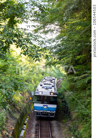 [Tokushima Line] Limited Express Tsurugi running through the dugout section 106544503