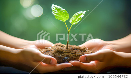 Image of two people holding a tree seedling 106544782