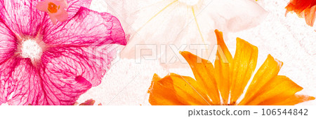 Banner of frozen flowers in ice Banner of frozen flowers in ice 106544842