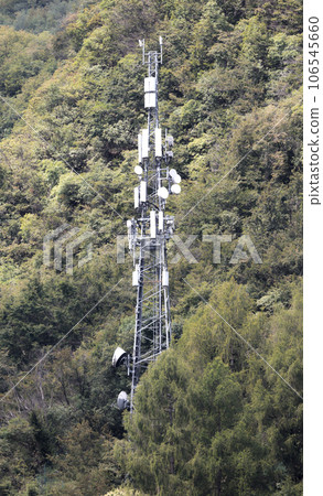 Cell tower in the forrest Cell tower in the forrest 106545660