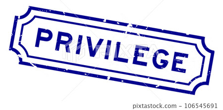 Grunge blue privilege word rubber seal stamp on white background Grunge blue privilege word rubber seal stamp on white background 106545691