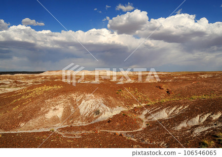 Rugged and Desolate Landscape Petrified Forest Arizona Rugged and Desolate Landscape Petrified Forest Arizona 106546065