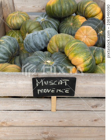 Muscat de Provence pumpkins in a large wooden box for storing vegetables. Muscat de Provence pumpkins in a large wooden box for storing vegetables. 106546090