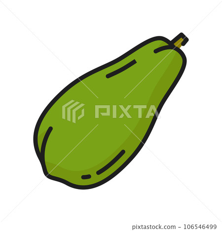 Green papaya exotic fruit, color icon of raw food dessert, thin line. Vector tropical pawpaw, fragrant fruit healthy eating. Papaya asian Thai juicy snack 106546499