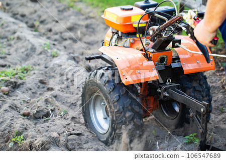 A summer resident plows a garden with potatoes with a walk-behind tractor in the fall during the harvest. Copy space for text A summer resident plows a garden with potatoes with a walk-behind tractor in the fall during the harvest. Copy space for text 106547689
