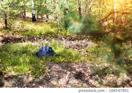 The man's backpack lies on the grass in the forest. Missing person concept. An accident in the forest. Lost mushroom picker. Attack of a wild animal. Fatal outcome. Copy space for text 106547801
