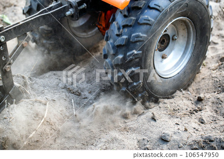 Plowing a garden with potatoes with a walk-behind tractor. Harvesting potatoes in autumn. Plowing the furrow with a motor-block with a plow. Industry 106547950