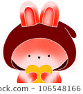rabbit 106548166