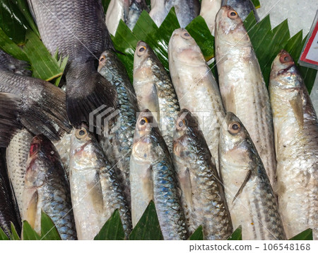 Ikan bubara or Bumphead trevally or Caranx ignobilis fish neatly arranged on top of ice pieces in the supermarket. 106548168