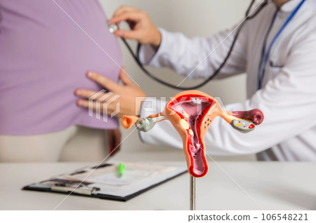 Doctor gynecologist listens to the belly of a pregnant girl through a stethoscope. The concept of tracking the movement of the fetus in the womb. Fetal movement test 106548221
