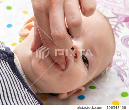 Mother applies anesthetic gel and massages teething gums to baby, close-up. Symptoms of teething. Mother applies anesthetic gel and massages teething gums to baby, close-up. Symptoms of teething. 106548466