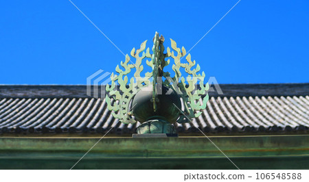 西新井大師的各種風景 106548588