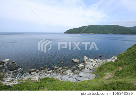愛媛縣伊方町番所花風景 106548589
