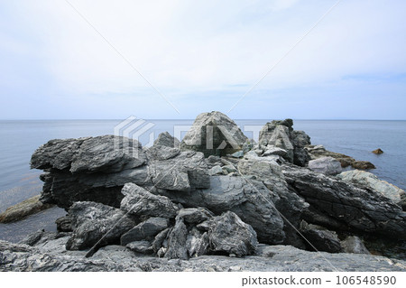 愛媛縣伊方町番所花風景 106548590
