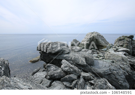 愛媛縣伊方町番所花風景 愛媛縣伊方町番所花風景 106548591