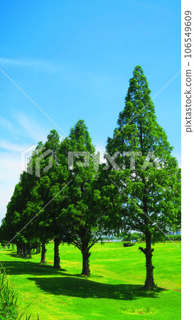 川口公共高爾夫球場的各種風景（埼玉縣川口市） 106549609