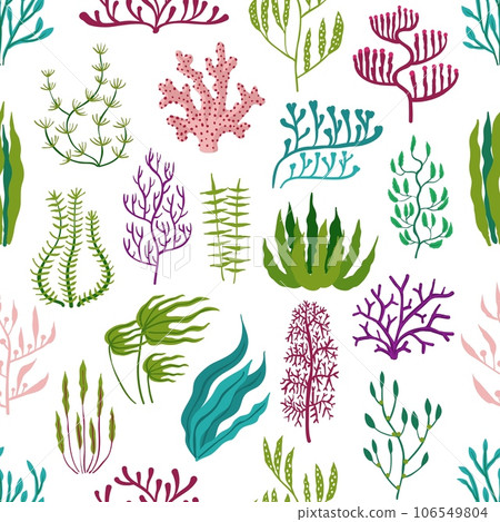 Underwater seaweed plants, aquarium algae seamless pattern. Corals and seaweeds vector background of marine flora with green kelp and laminaria, purple codium, gracilaria and rhodymenia leaves Underwater seaweed plants, aquarium algae seamless pattern. Corals and seaweeds vector background of marine flora with green kelp and laminaria, purple codium, gracilaria and rhodymenia leaves 106549804