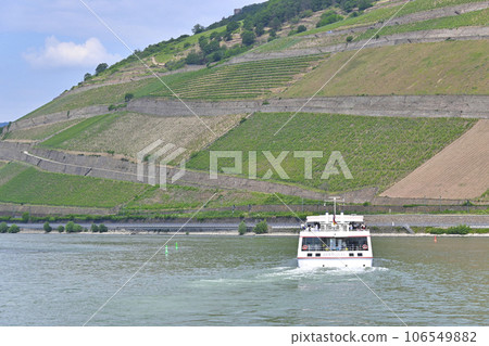 Rhine river cruise Ruedesheim vineyards/Germany 106549882