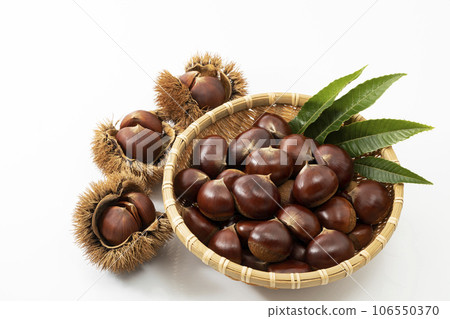 Chestnuts placed in a deep colander with leaves_background white Chestnuts placed in a deep colander with leaves_background white 106550370