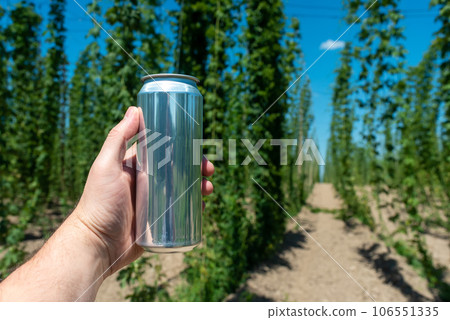 A man's hand holds a clean aluminum beer can without a logo on the background of a field of hops 106551335