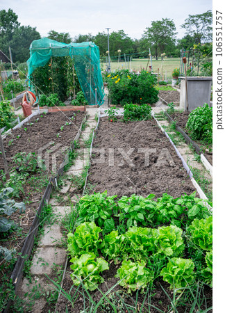 Orchard and cultivation area Ecological personal for biological self-consumption 106551757
