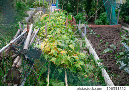 Orchard and cultivation area Ecological personal for biological self-consumption 106551832