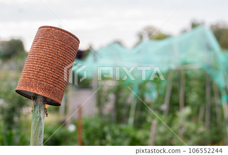 Rusty metal can with wasp nest in home garden showing ecological concept impact 106552244