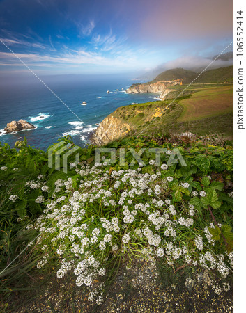 Beautiful west coast beside highway 106552414