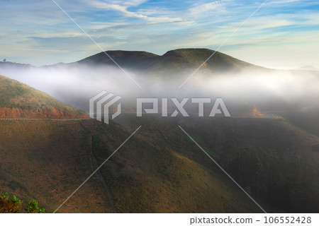 cabbage field at sunset cabbage field at sunset 106552428