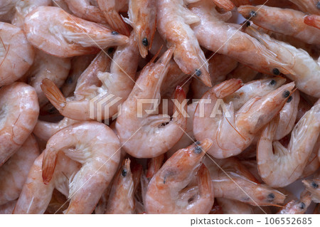Frozen shrimps as bacground. 106552685