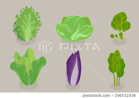3D Isometric Flat Vector Set of Salad Greens 106552836