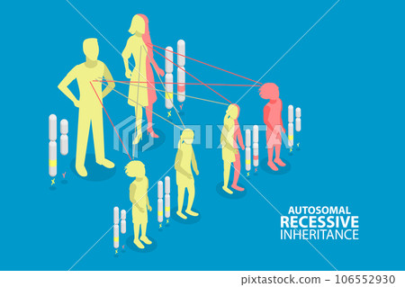 3D Isometric Flat Vector Conceptual Illustration of Autosomal Recessive Inheritance 3D Isometric Flat Vector Conceptual Illustration of Autosomal Recessive Inheritance 106552930