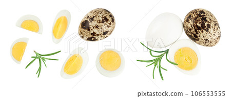 boiled quail egg isolated on white background with full depth of field. Top view. Flat lay boiled quail egg isolated on white background with full depth of field. Top view. Flat lay 106553555