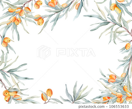 Sea buckthorn frame. Watercolor illustration. On a white background. For cosmetology, pharmaceuticals, food industry. Decorative element for greeting card. Nature clipart for decoration, desig Sea buckthorn frame. Watercolor illustration. On a white background. For cosmetology, pharmaceuticals, food industry. Decorative element for greeting card. Nature clipart for decoration, desig 106553633