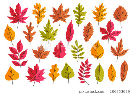 Collection of bright autumn leaves isolated on white background. Vector graphics. 106553659