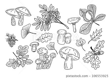 Big set of hand drawn doodle leaves and mushrooms 106553925