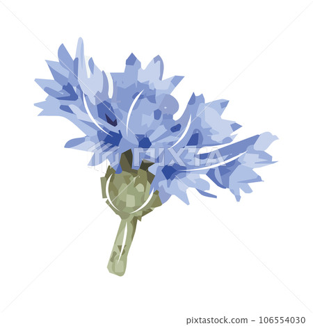 Isolated watercolor sketch of a flower Vector Isolated watercolor sketch of a flower Vector 106554030