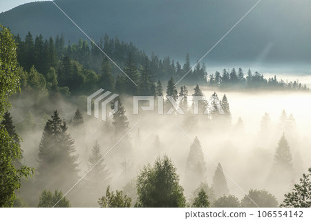 misty morning in the mountains, view from drone over the morning over the mountains hills and farmland, Ukraine. Foggy and cloud inversion over the mountains. 106554142