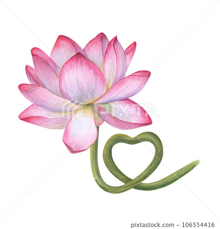 pink lotus flower clipart