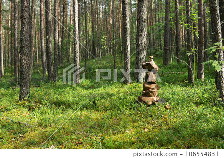 small cairn, a pyramid of stones in a coniferous forest small cairn, a pyramid of stones in a coniferous forest 106554831