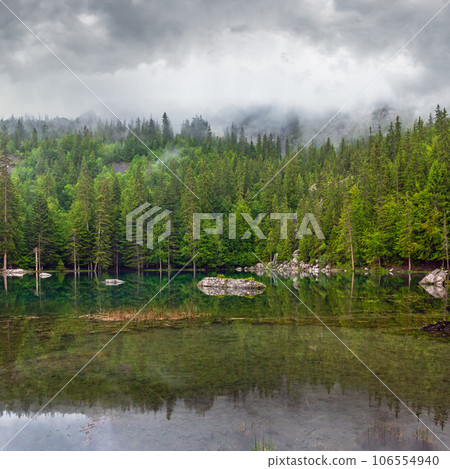 Small mountain forest lake Small mountain forest lake 106554940